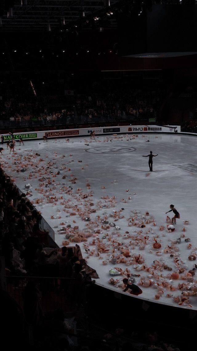 ⛸Бесплатные ледовые спектакли Евгения Плющенко «Сказки Евгения Плющенко»
27-30 января в 19:30
31 января в 18:30
Шоу сочетает современное фигурное катание, элементы классического балета, мультимедийные... | Сетка — социальная сеть от hh.ru