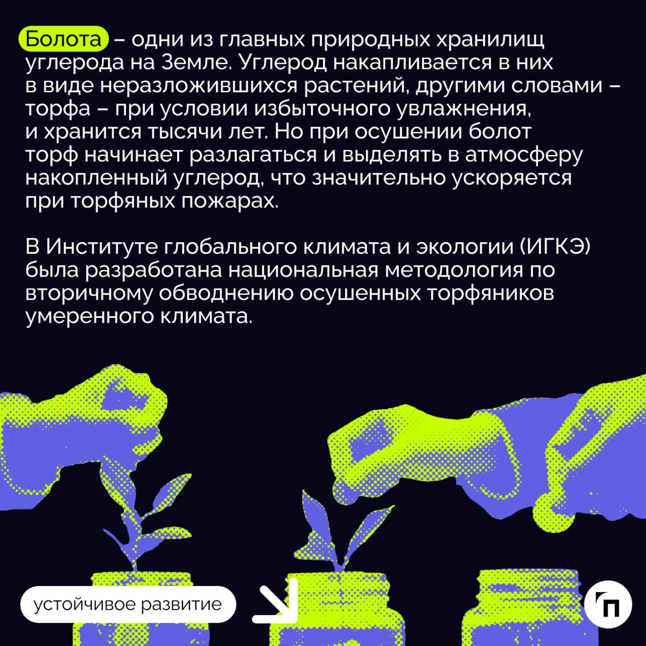 ❇️ Климатический проект «Юнилевер Русь» по обводнению осушенных торфяников: почему это важно?
Уже более 20 лет в России активно занимаются изучением вопросов восстановления ранее осушенных торфяников | Сетка — социальная сеть от hh.ru