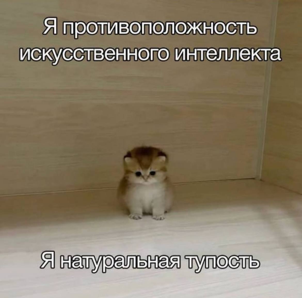 Подборка мемов на тот самый случай в рабочем чате | Сетка — социальная сеть от hh.ru