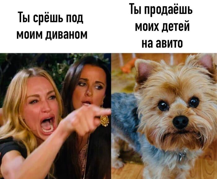 1/1 | Сетка — социальная сеть от hh.ru
