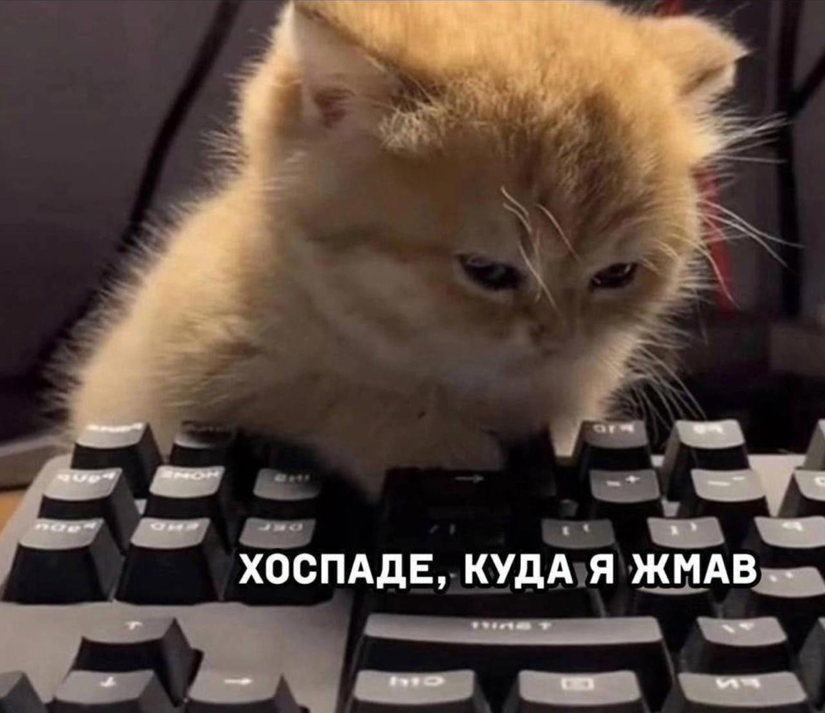 В айти входят или специально, или случайно. Я зашел случайно | Сетка — социальная сеть от hh.ru