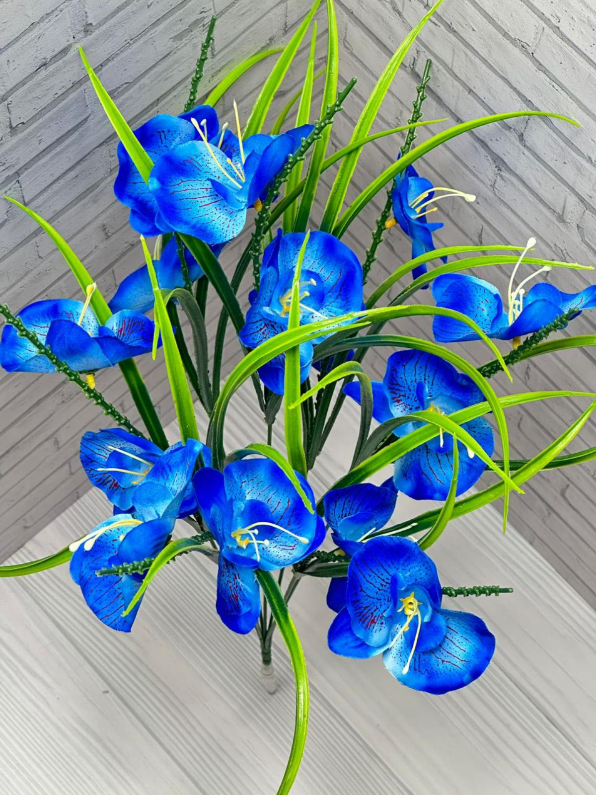 💐УПАКОВКА:70₽*40шт=2800₽                     
💐в упаковке разные цвет !                   
💐размер :60-см                         
 💐1 букет :14-голов                        
💐Живое фото !!!! 
Салют 3 | Сетка — социальная сеть от hh.ru