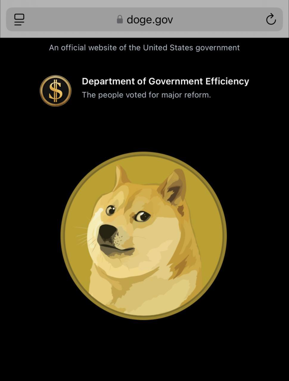 🐶Опубликован официальный сайт D.O.G.E | Сетка — социальная сеть от hh.ru