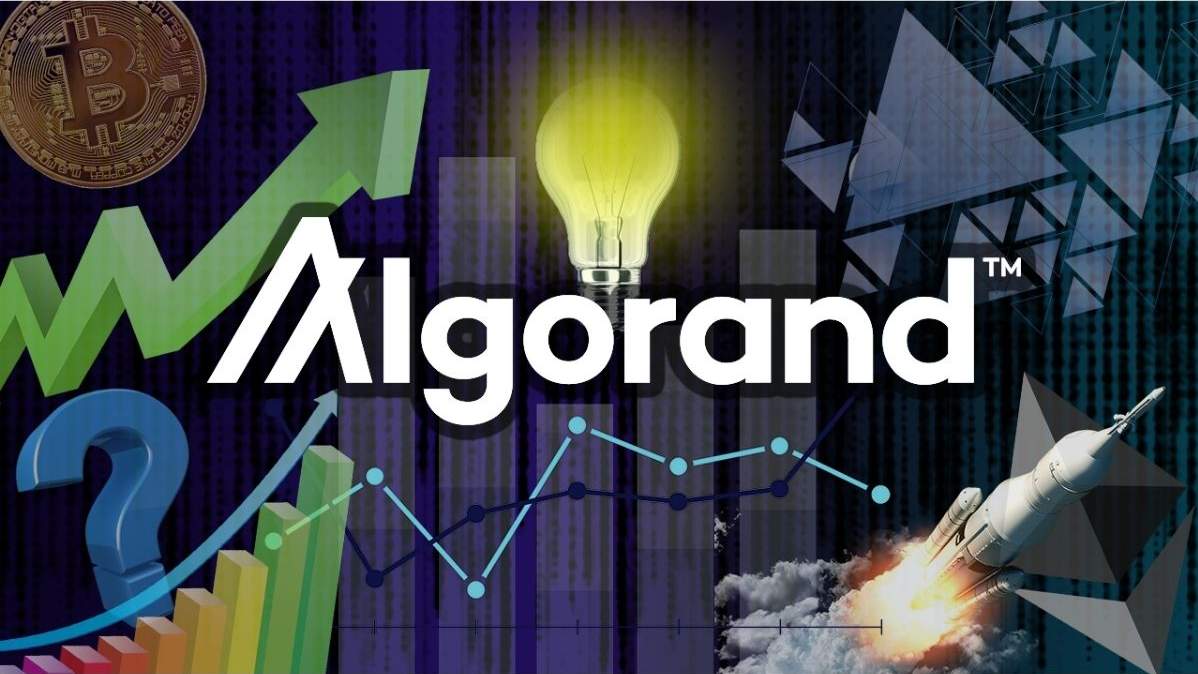 Итальянская Enel Group токенизирует солнечные панели в сети Algorand | Сетка — социальная сеть от hh.ru