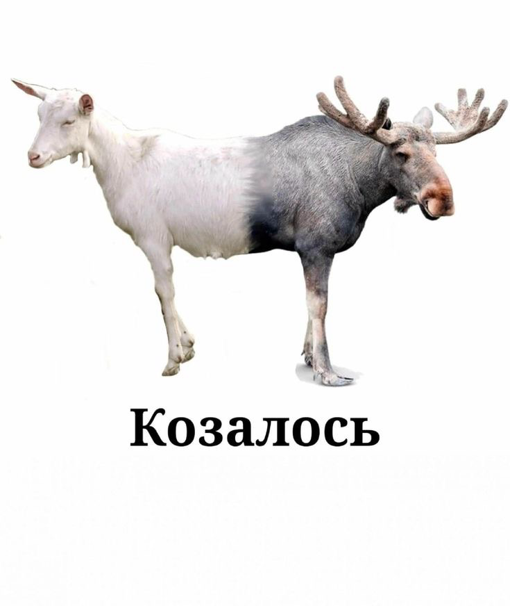 Описания к вакансиям
Долго думала, с чего бы начать и тут ответ пришел сам собой…
Как часто вы дочитываете описание вакансии до конца? Смею предположить, что 50/50 (теория вероятности, йопта) | Сетка — социальная сеть от hh.ru
