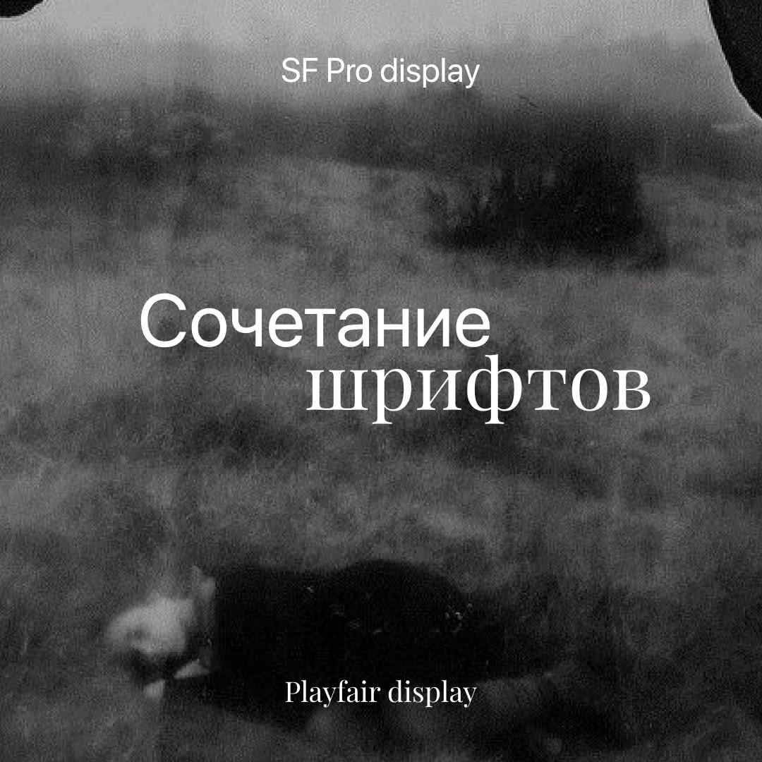 🎀Сочетание шрифтов — важная часть дизайна, которая влияет на восприятие вашего текста. Если не знаете, какие пары выбрать, ловите идеи.
⚪️Все шрифты можно скачать в комментариях | Сетка — социальная сеть от hh.ru