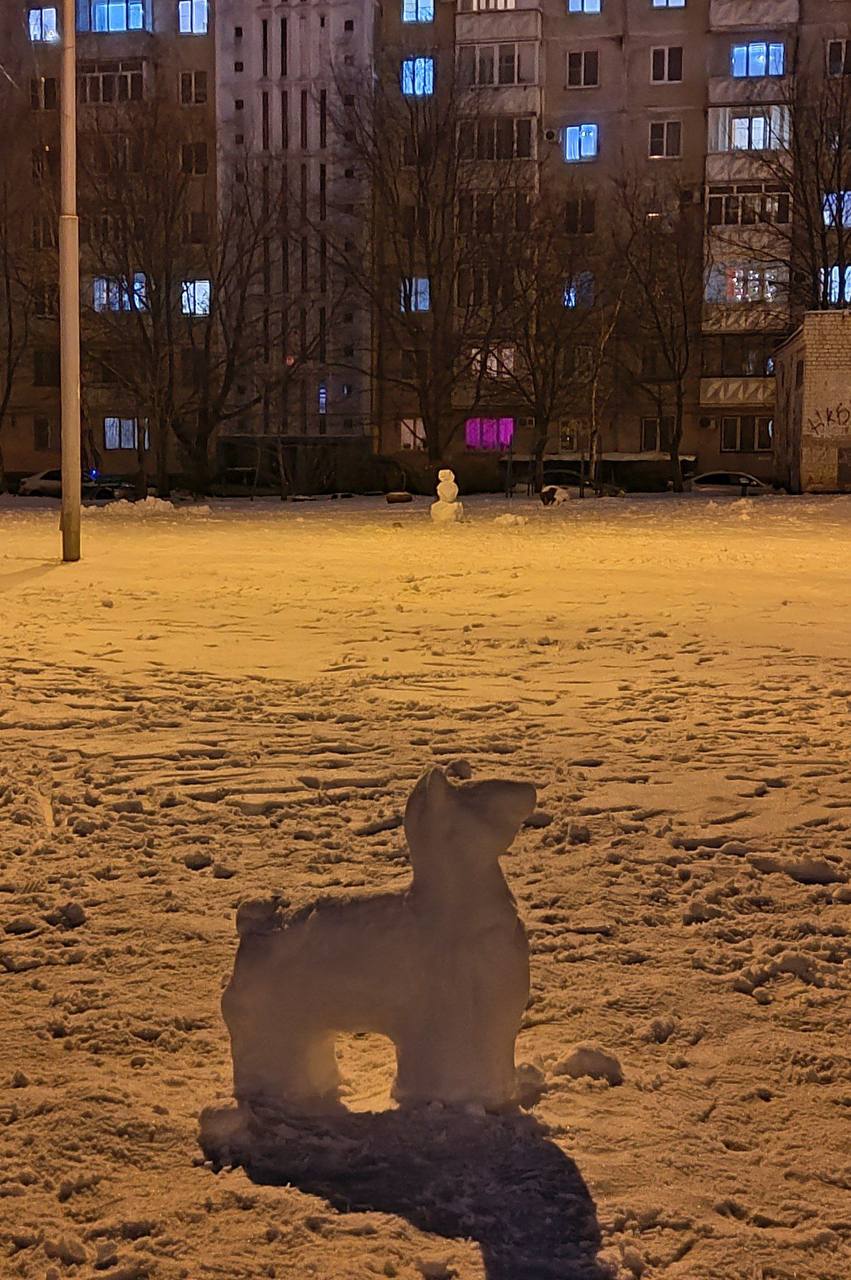 Маленький снежный пёсик на Юности.
@stavropolyevibe | Сетка — социальная сеть от hh.ru