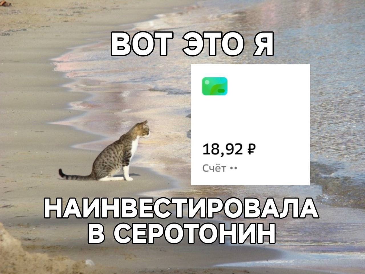 📊 KPI по мемам | Сетка — социальная сеть от hh.ru