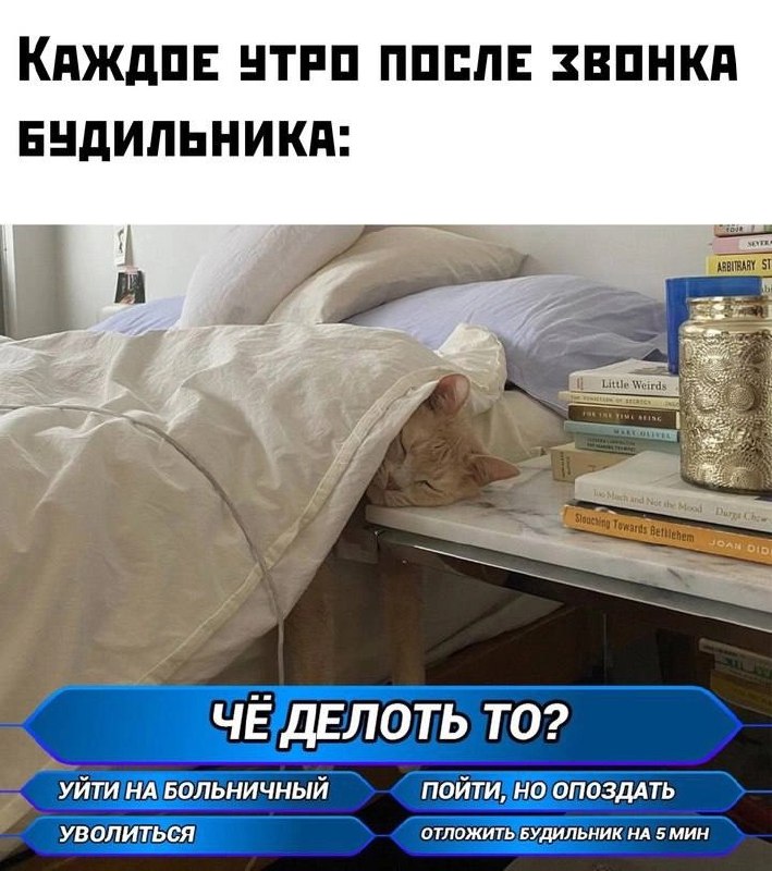 И так 5 дней в неделю…. Эх 😞 | Сетка — социальная сеть от hh.ru