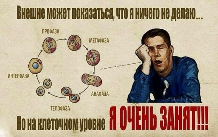 10 причин не работать
1. Финансовая независимость:
Некоторые люди имеют значительные финансовые ресурсы, что позволяет им не работать | Сетка — социальная сеть от hh.ru