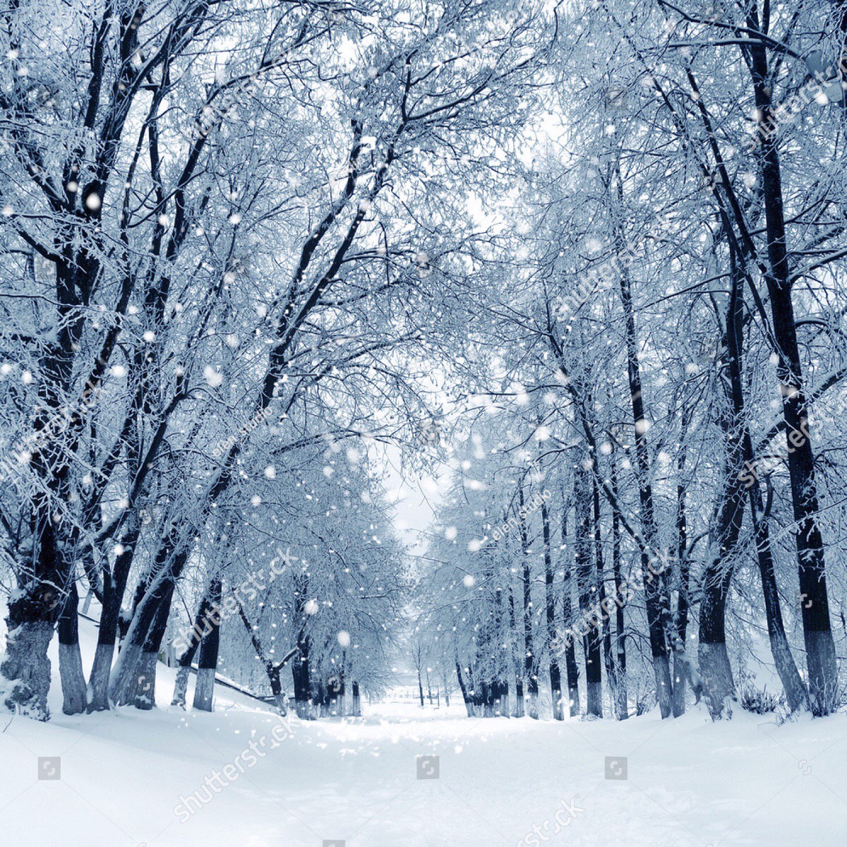 Асият Исмаилова