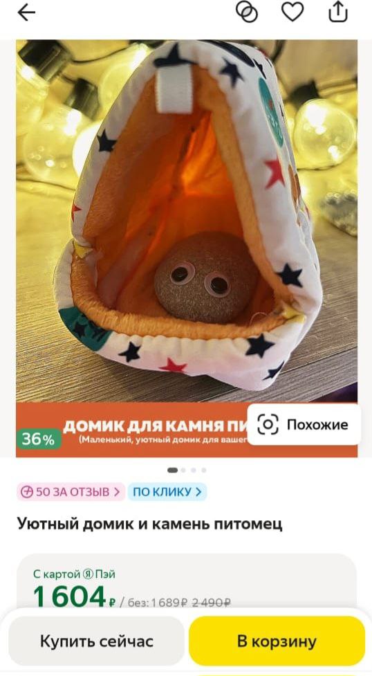 Как «камень-питомец» становится звездой маркетплейсов✨️
Факт: отдельные товары могут привлечь внимание благодаря своей необычности | Сетка — социальная сеть от hh.ru