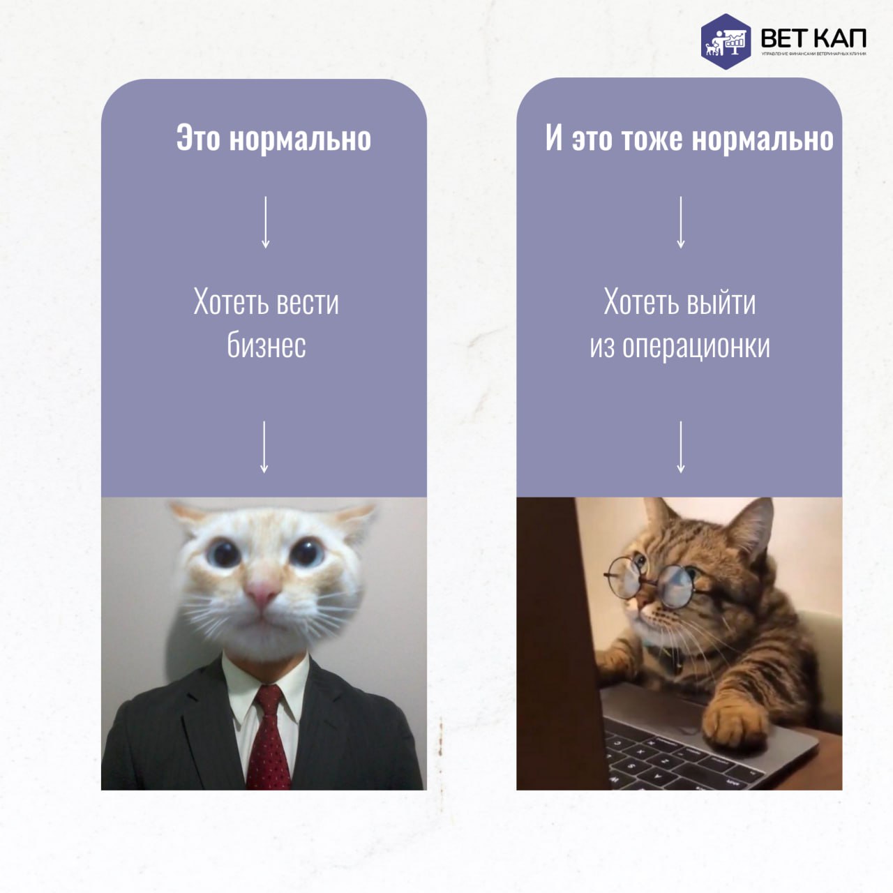 Нет правильных способов вести бизнес, есть только тот, что выбираете вы 🤍
Чтобы хотели добавить к списку?
Как владелец ветеринарной клиники освободился от рутины всего за 3 месяца с помощью финдира! П... | Сетка — социальная сеть от hh.ru