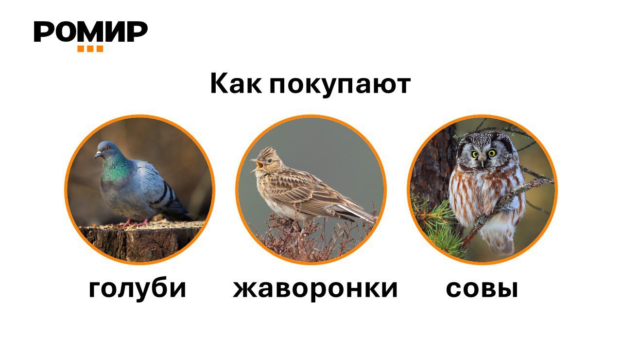 ⚡️ Связь между хронотипом и индексом потребительской уверенности (ИПУ)
🔣 Группа «жаворонков» (46% опрошенных) показала высокий ИПУ +3,8%, что говорит о позитивном восприятии экономической ситуации бла... | Сетка — социальная сеть от hh.ru