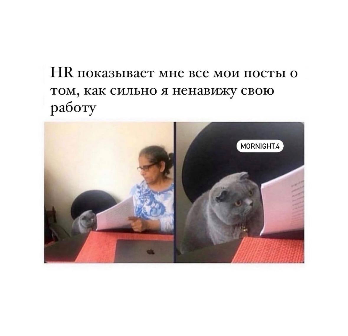 Смех продлевает жизнь, поэтому мы здесь с новой порцией мемов 😉 | Сетка — социальная сеть от hh.ru