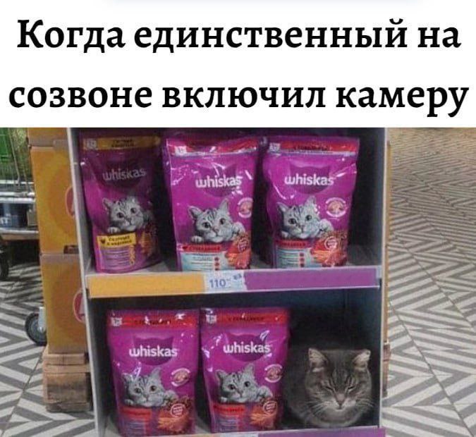 📊 KPI по мемам | Сетка — социальная сеть от hh.ru