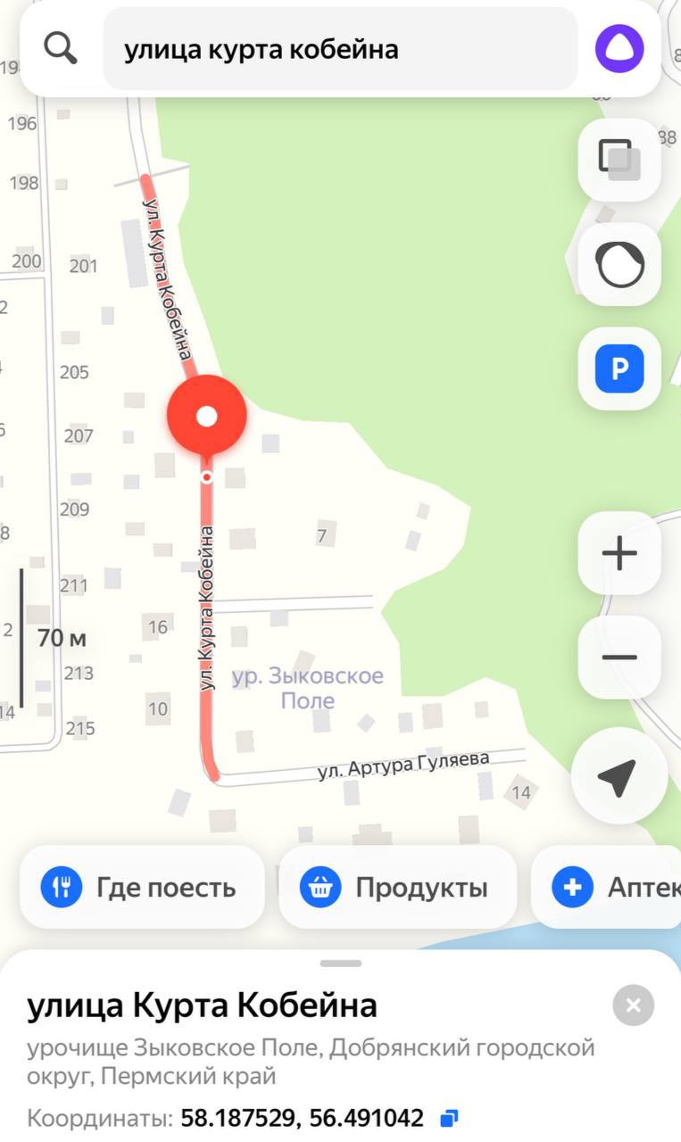 держись за стул.
в перми есть улица курта кобейна. нет, это не баг в таймлайне, а результат народного голосования 2018 года | Сетка — социальная сеть от hh.ru