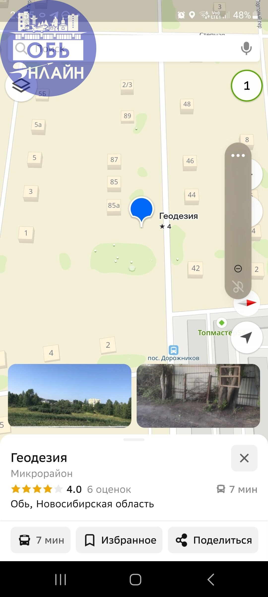↗ Стая собак в этом месте уже не первый раз. Возможно здесь их подкармливают время от времени. Собаки агрессивные. Кидаются даже на машины | Сетка — социальная сеть от hh.ru
