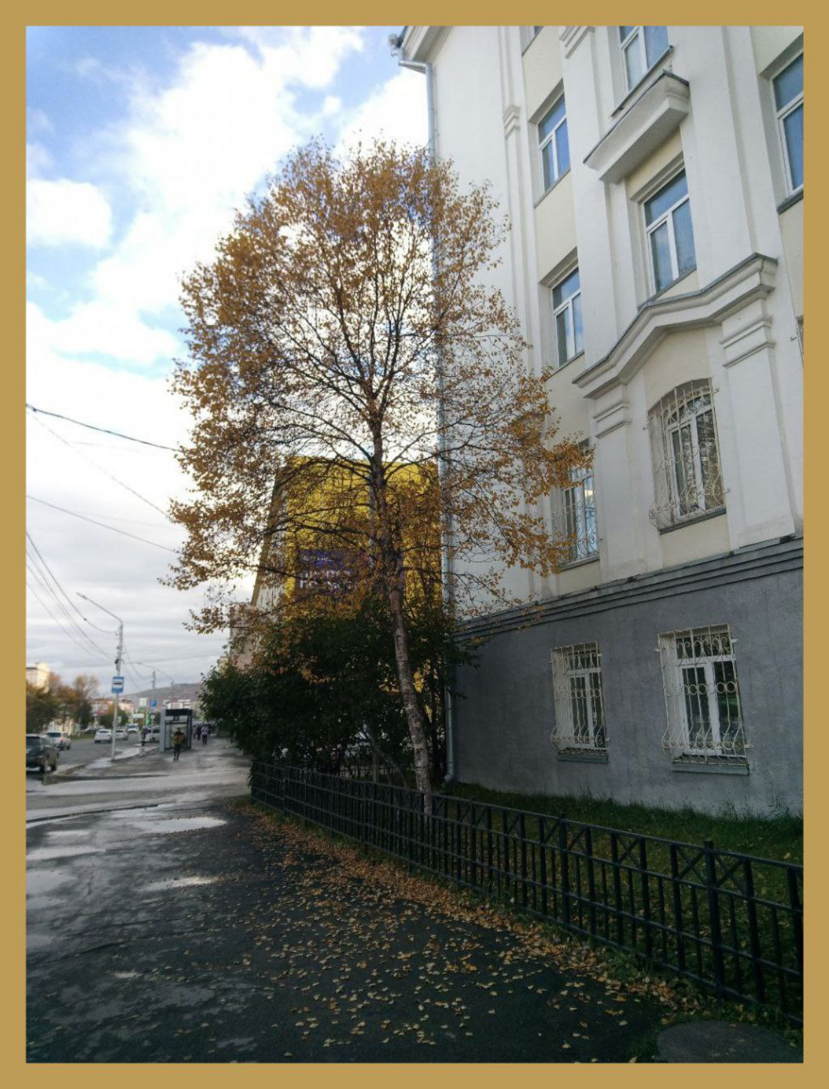 Однажды в счастливую пору / Once upon a time when life was good | Сетка — социальная сеть от hh.ru