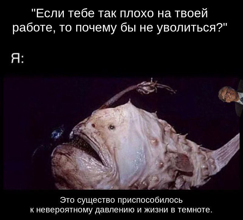 #IT
😂 Твой Пакет Мемов | 🛍 Другие каналы | Сетка — социальная сеть от hh.ru