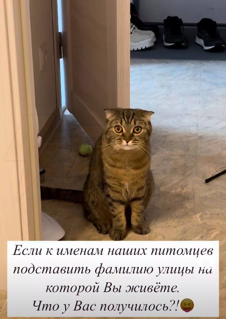 Пишите в комментариях 👇🏻
@stavropolyevibe | Сетка — социальная сеть от hh.ru