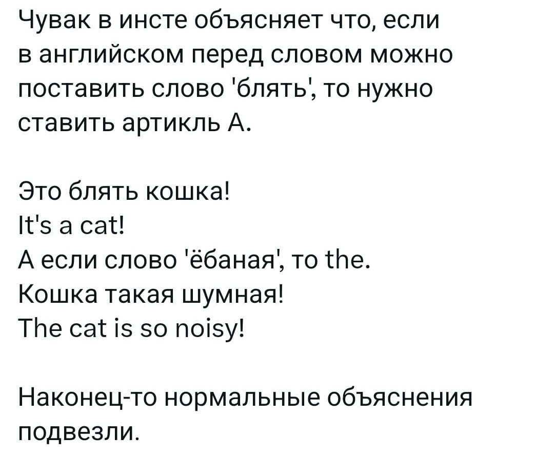 Нужна дополнительная экспертная проверка или опровержение 🤪 | Сетка — социальная сеть от hh.ru