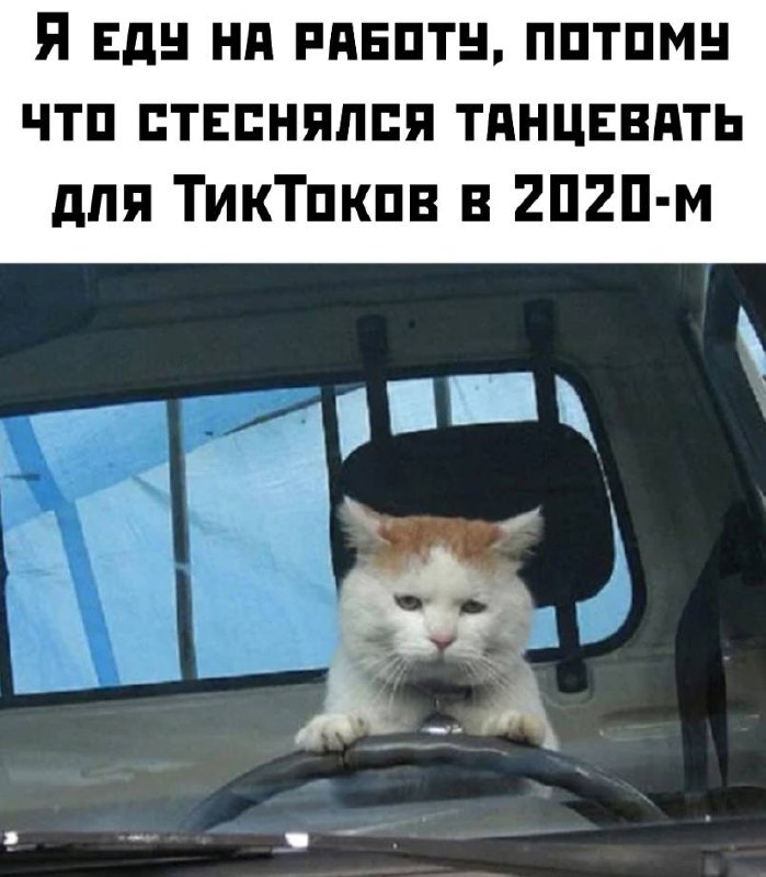 Коллеги, мы? Особенно в пятницу ощущается
Но через 5 лет такие мемы будут про Telegram-каналы. Вот увидите
📊 KPI по мемам | Сетка — социальная сеть от hh.ru