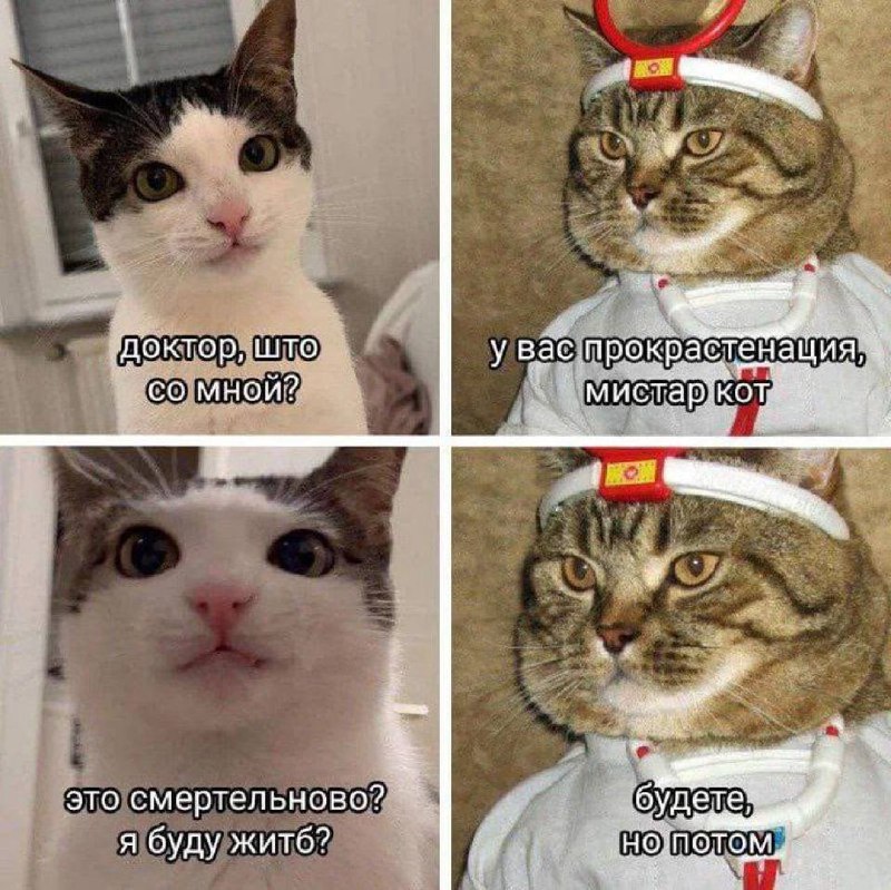 Когда новогодних праздников не хватило😉 | Сетка — социальная сеть от hh.ru