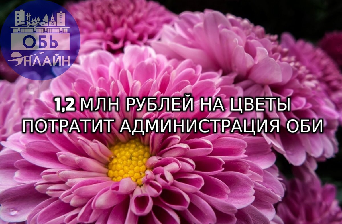 ↗ Администрация города Оби планирует потратить на цветы 1,2 млн рублей
А чё бы нет? Город в цветах - счастье в домах, ёмаё | Сетка — социальная сеть от hh.ru