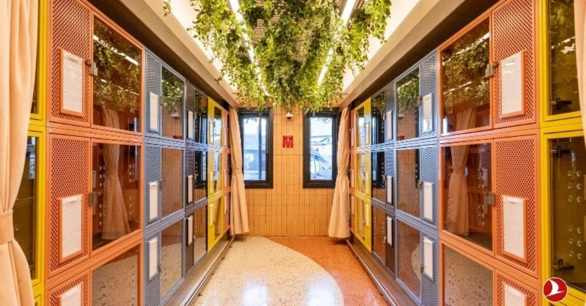 Turkish Airlines сделали в аэропорту Стамбула лаундж для животных. Это специальный зал площадью 250 м2, где есть вольеры, небольшие прогулочные лужайки, поилки и кабинет ветеринара | Сетка — социальная сеть от hh.ru