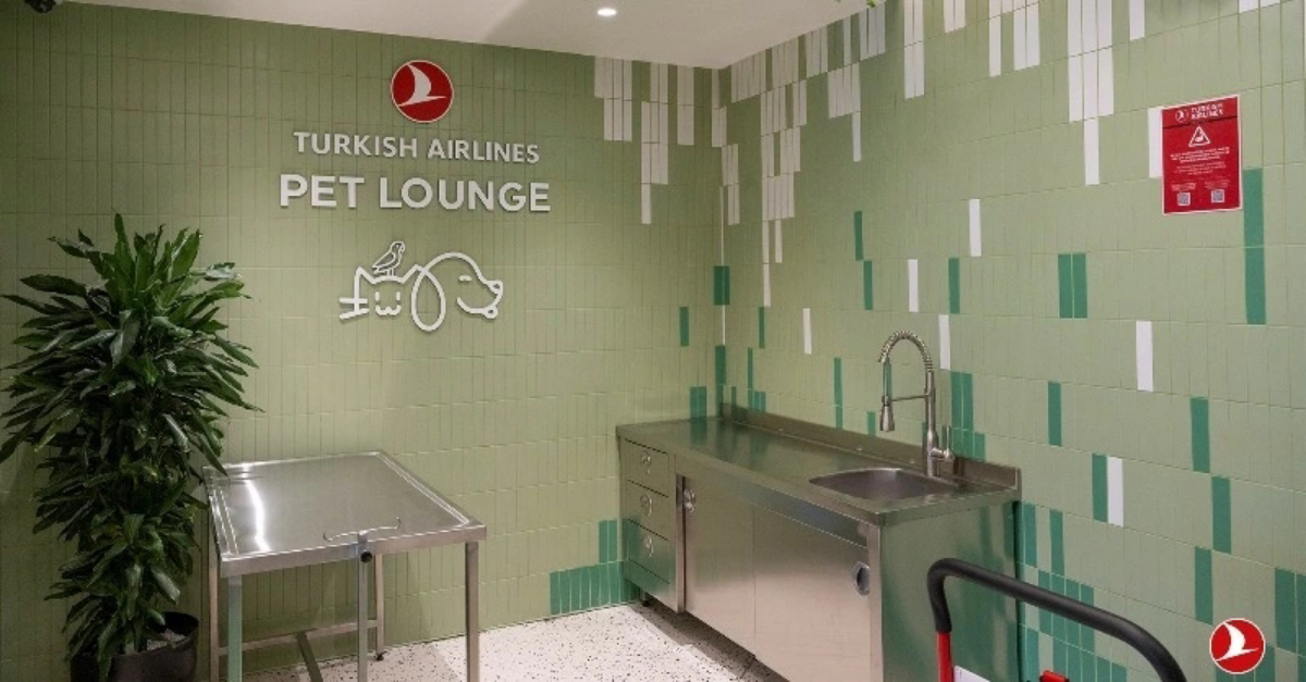 Turkish Airlines сделали в аэропорту Стамбула лаундж для животных. Это специальный зал площадью 250 м2, где есть вольеры, небольшие прогулочные лужайки, поилки и кабинет ветеринара | Сетка — социальная сеть от hh.ru