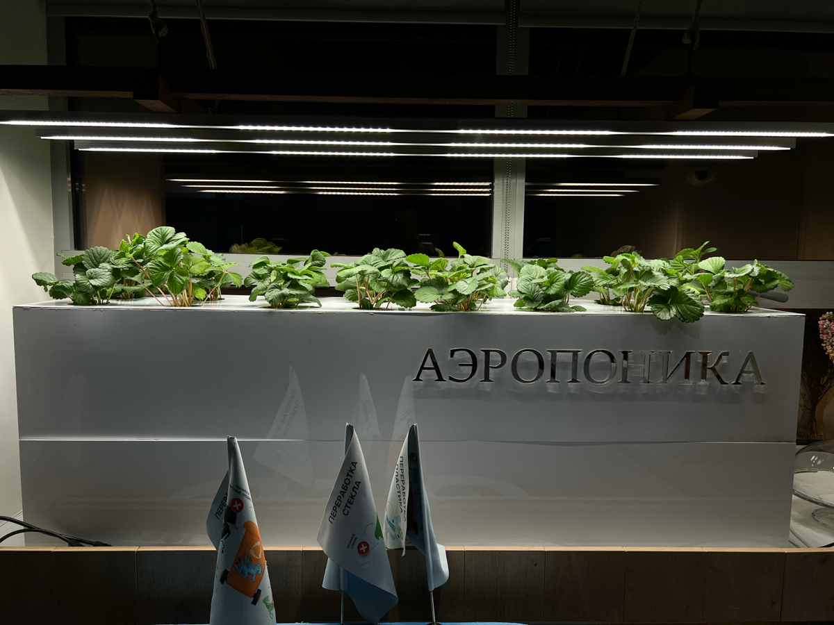 Клубничный флешбэк | Сетка — социальная сеть от hh.ru