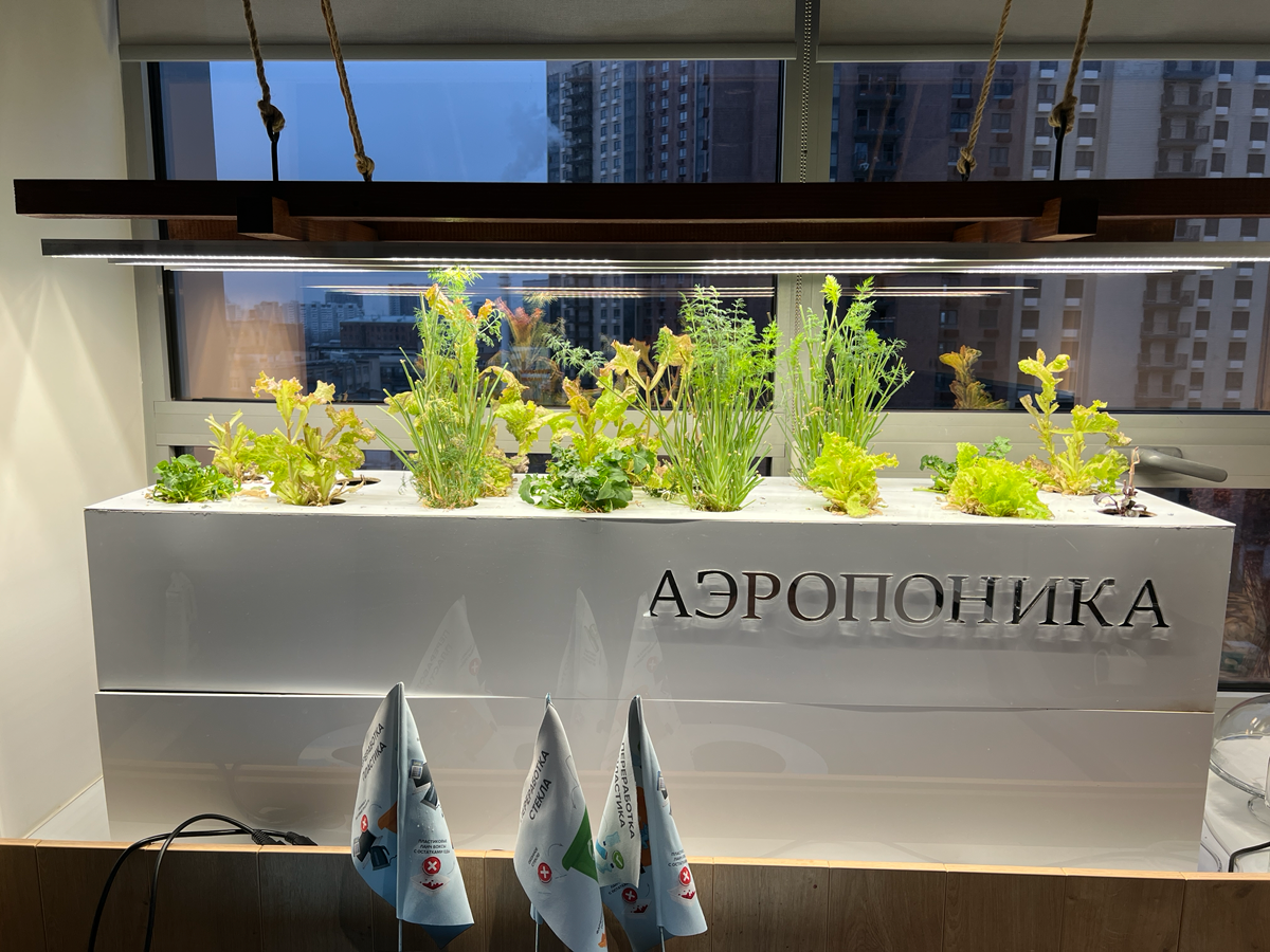 Клубничный флешбэк | Сетка — социальная сеть от hh.ru