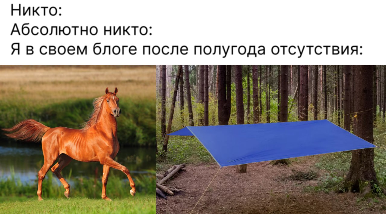 Реши ребус 😁😁😁
Короче, суббота, #мемсы традиционно)
Я относительно недавно переехал с ботхелпа на сейлбот, и часть кнопок в канале "отвалились": по ним не выдается материал, как это было задумано изна... | Сетка — социальная сеть от hh.ru