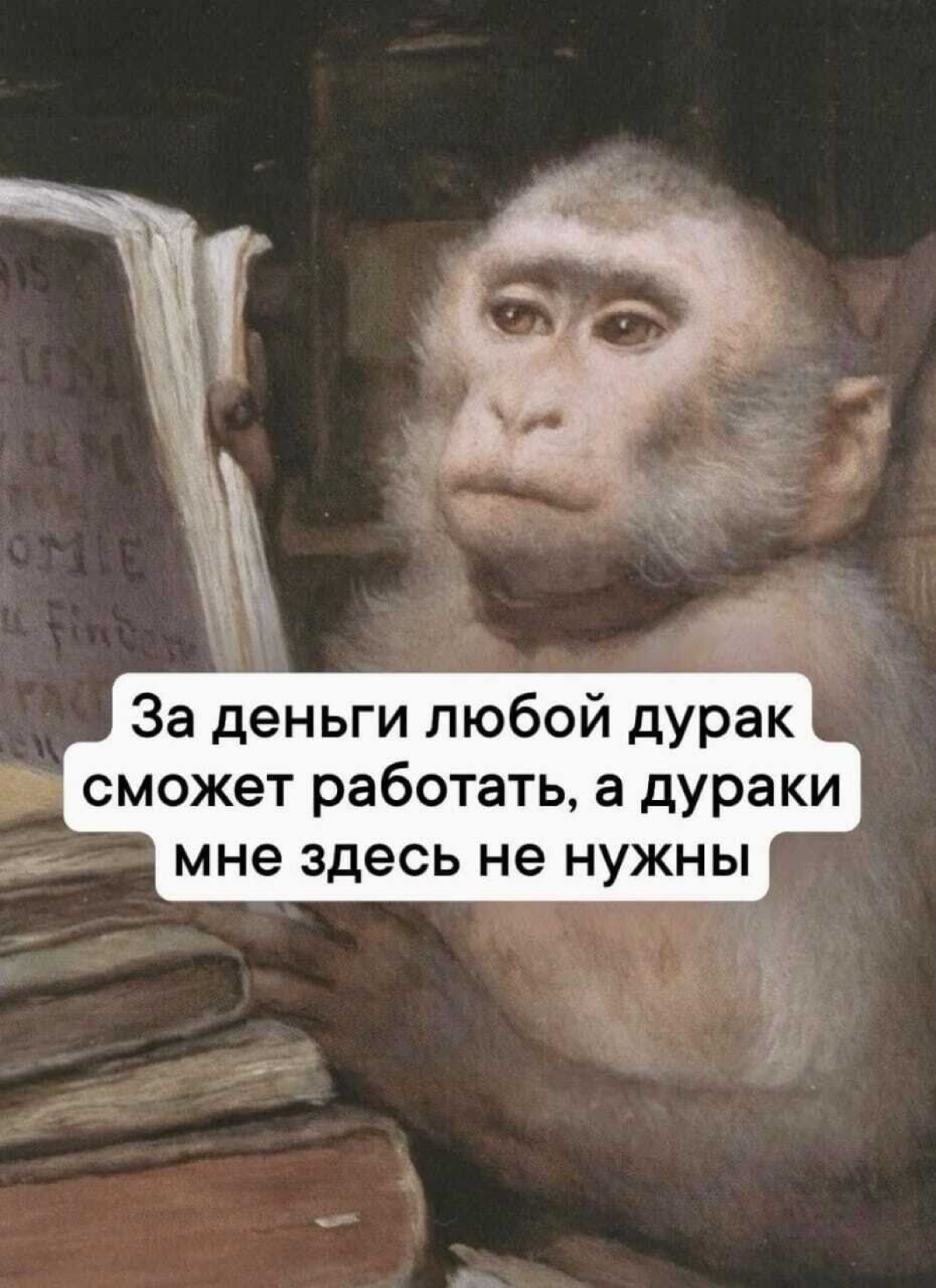 Когда читаешь заявку на подбор 😂😂 | Сетка — социальная сеть от hh.ru