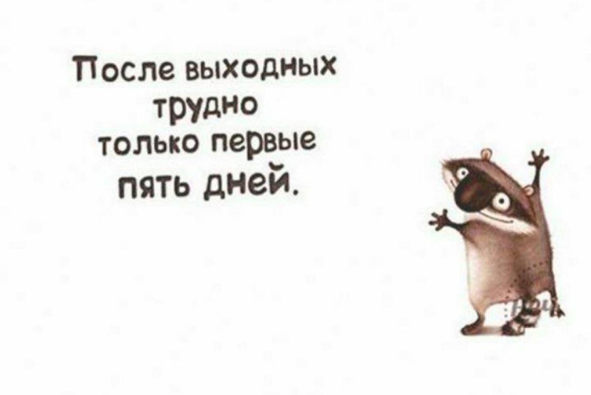 С добрым утром!
Эффективной продуктивной рабочей недели! 🤗 | Сетка — социальная сеть от hh.ru
