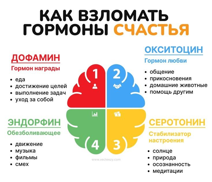 Гормоны счастья - это ключевые химические вещества в нашем организме, которые играют важную роль в регуляции нашего настроения, эмоций и общего ощущения благополучия | Сетка — социальная сеть от hh.ru