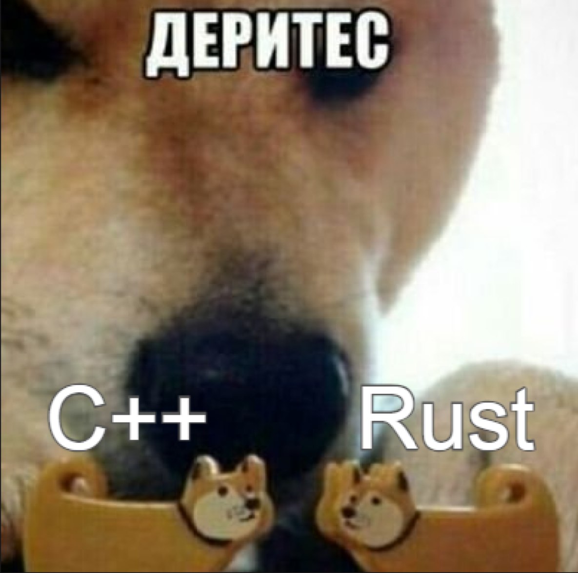 В последнее время всё чаще говорят про инструменты для Python, написанные на Rust. Видимо на фоне успехов Astral с ruff и uv лёд тронулся | Сетка — социальная сеть от hh.ru