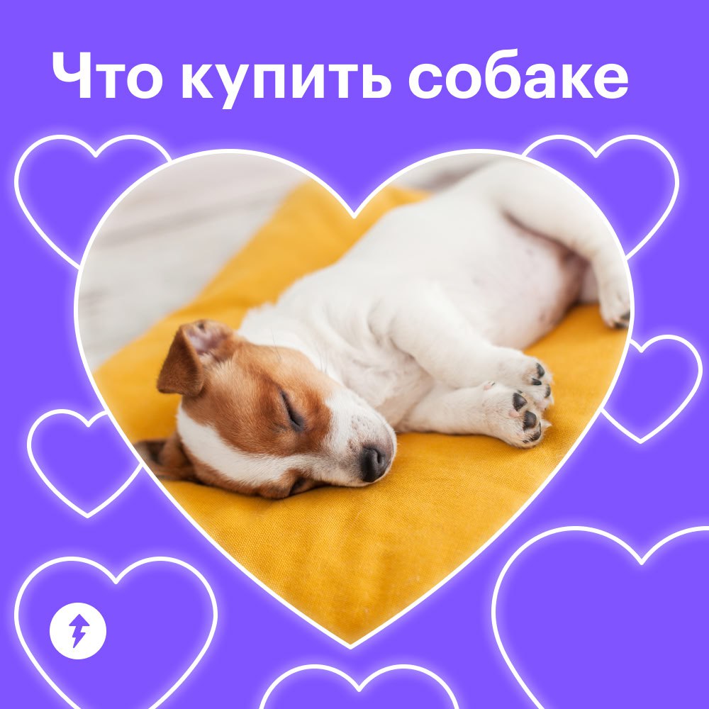 Вы: тратите ползарплаты на собаку
Она: гав-гав, спасибки 💕🐾👅
Когда в доме появляется хвостатый друг, хочется скупить ему все игрушки и гаджеты | Сетка — социальная сеть от hh.ru