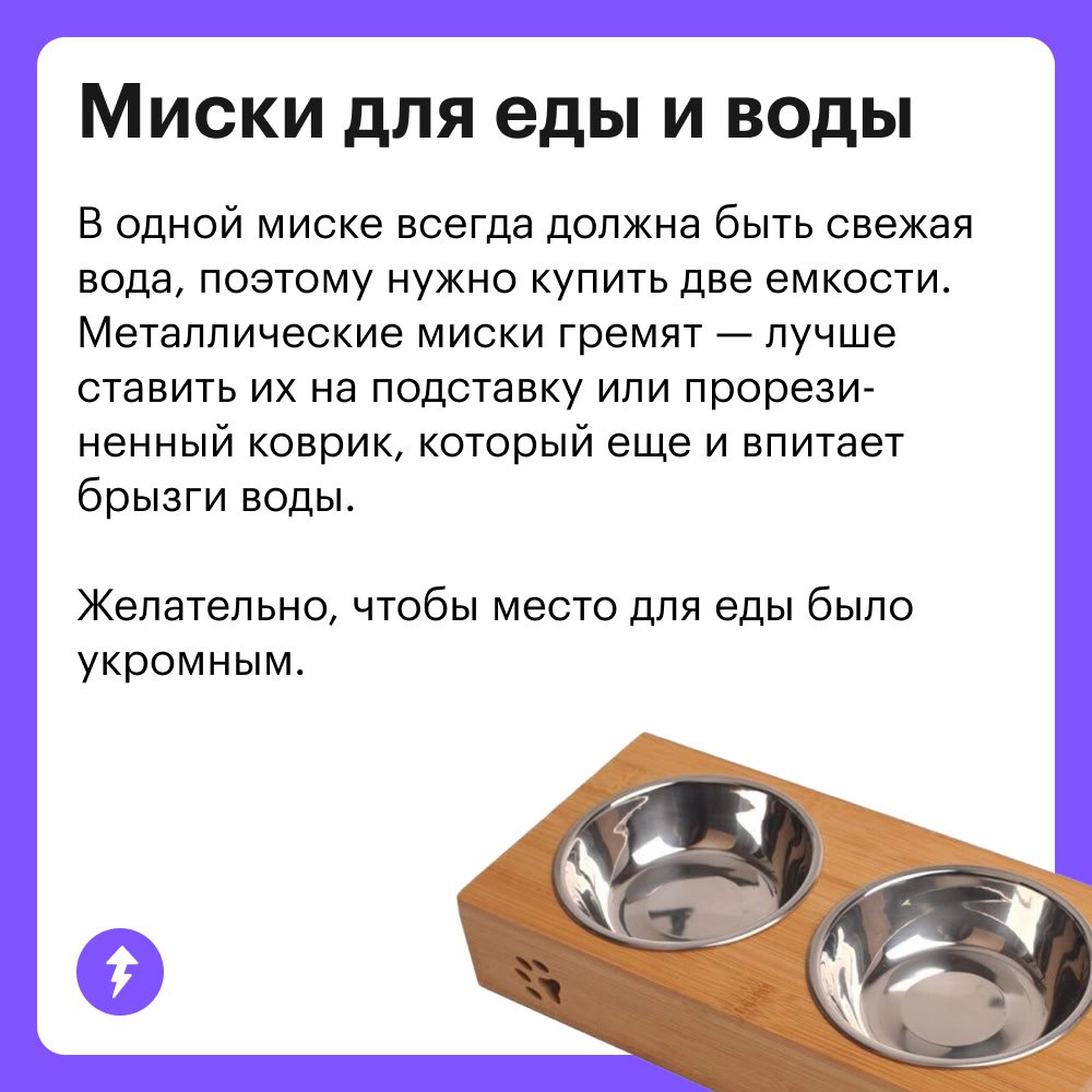 Вы: тратите ползарплаты на собаку
Она: гав-гав, спасибки 💕🐾👅
Когда в доме появляется хвостатый друг, хочется скупить ему все игрушки и гаджеты | Сетка — социальная сеть от hh.ru