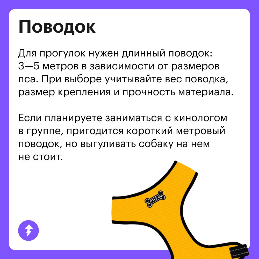 Вы: тратите ползарплаты на собаку
Она: гав-гав, спасибки 💕🐾👅
Когда в доме появляется хвостатый друг, хочется скупить ему все игрушки и гаджеты | Сетка — социальная сеть от hh.ru