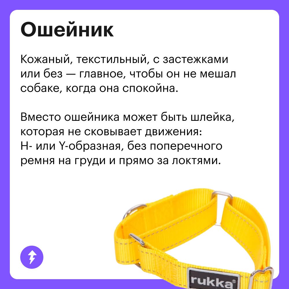 Вы: тратите ползарплаты на собаку
Она: гав-гав, спасибки 💕🐾👅
Когда в доме появляется хвостатый друг, хочется скупить ему все игрушки и гаджеты | Сетка — социальная сеть от hh.ru