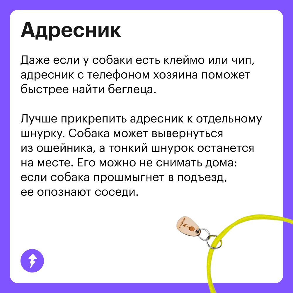 Вы: тратите ползарплаты на собаку
Она: гав-гав, спасибки 💕🐾👅
Когда в доме появляется хвостатый друг, хочется скупить ему все игрушки и гаджеты | Сетка — социальная сеть от hh.ru