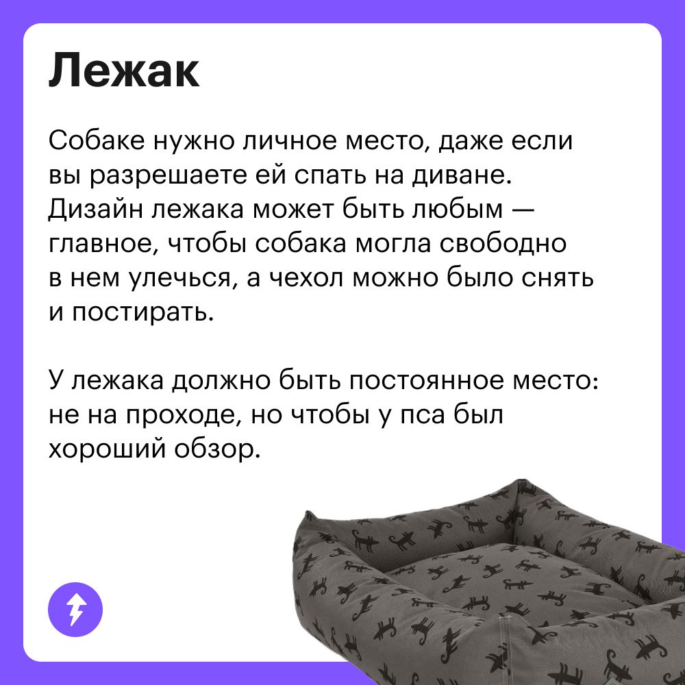 Вы: тратите ползарплаты на собаку
Она: гав-гав, спасибки 💕🐾👅
Когда в доме появляется хвостатый друг, хочется скупить ему все игрушки и гаджеты | Сетка — социальная сеть от hh.ru