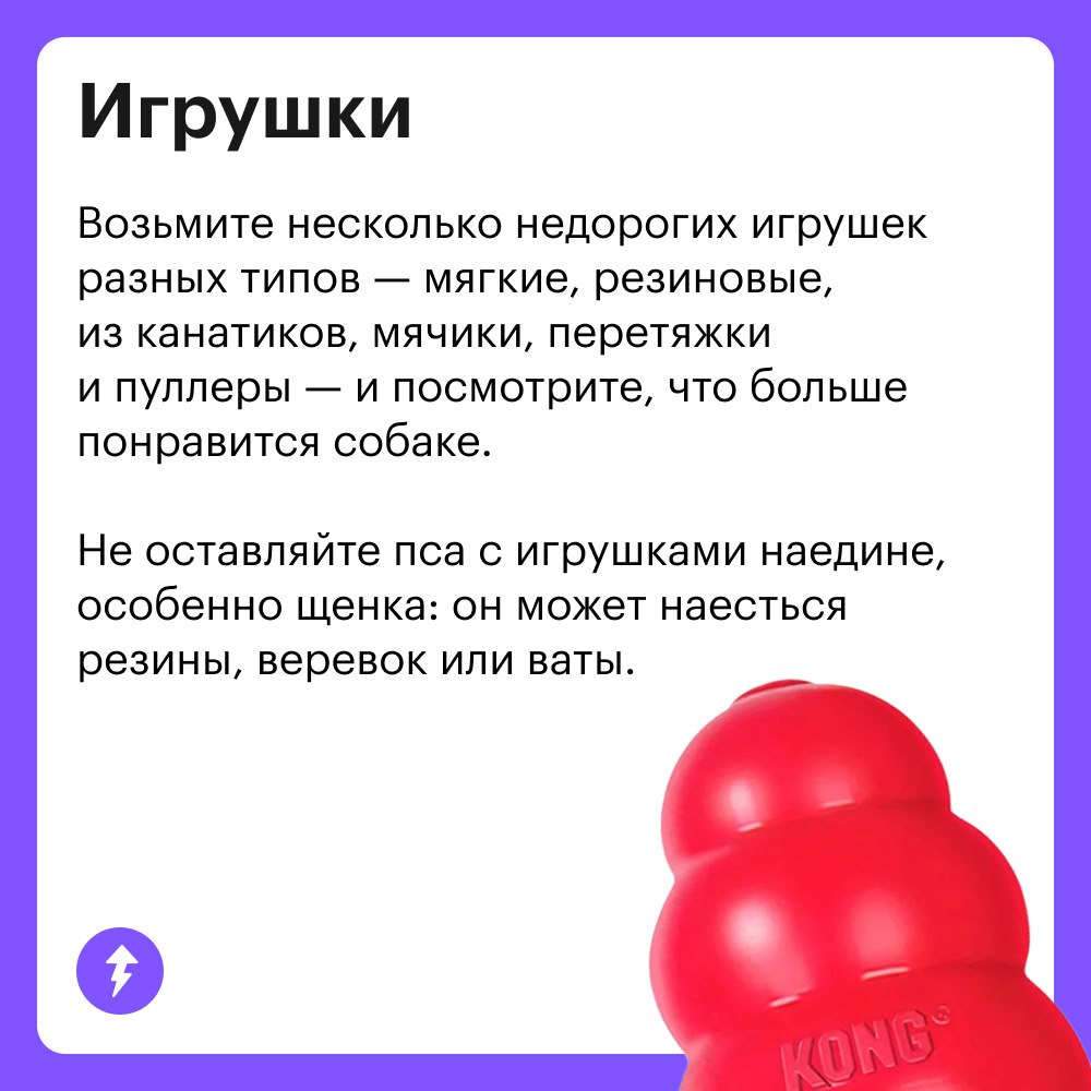 Вы: тратите ползарплаты на собаку
Она: гав-гав, спасибки 💕🐾👅
Когда в доме появляется хвостатый друг, хочется скупить ему все игрушки и гаджеты | Сетка — социальная сеть от hh.ru