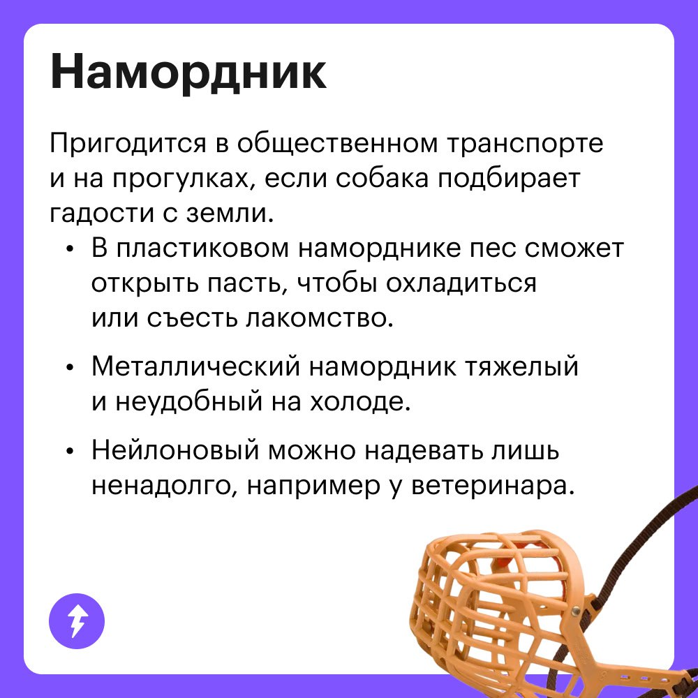 Вы: тратите ползарплаты на собаку
Она: гав-гав, спасибки 💕🐾👅
Когда в доме появляется хвостатый друг, хочется скупить ему все игрушки и гаджеты | Сетка — социальная сеть от hh.ru