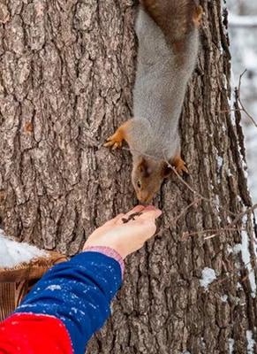 ❄️Зимние экопрогулки
29 января с 15:00 до 16:00
🌱Экопрогулка по парку Кузьминки
Вы сможете погрузиться в созерцание живописных зимних пейзажей, зарядятся целебной энергией от деревьев-долгожителей, уз... | Сетка — социальная сеть от hh.ru