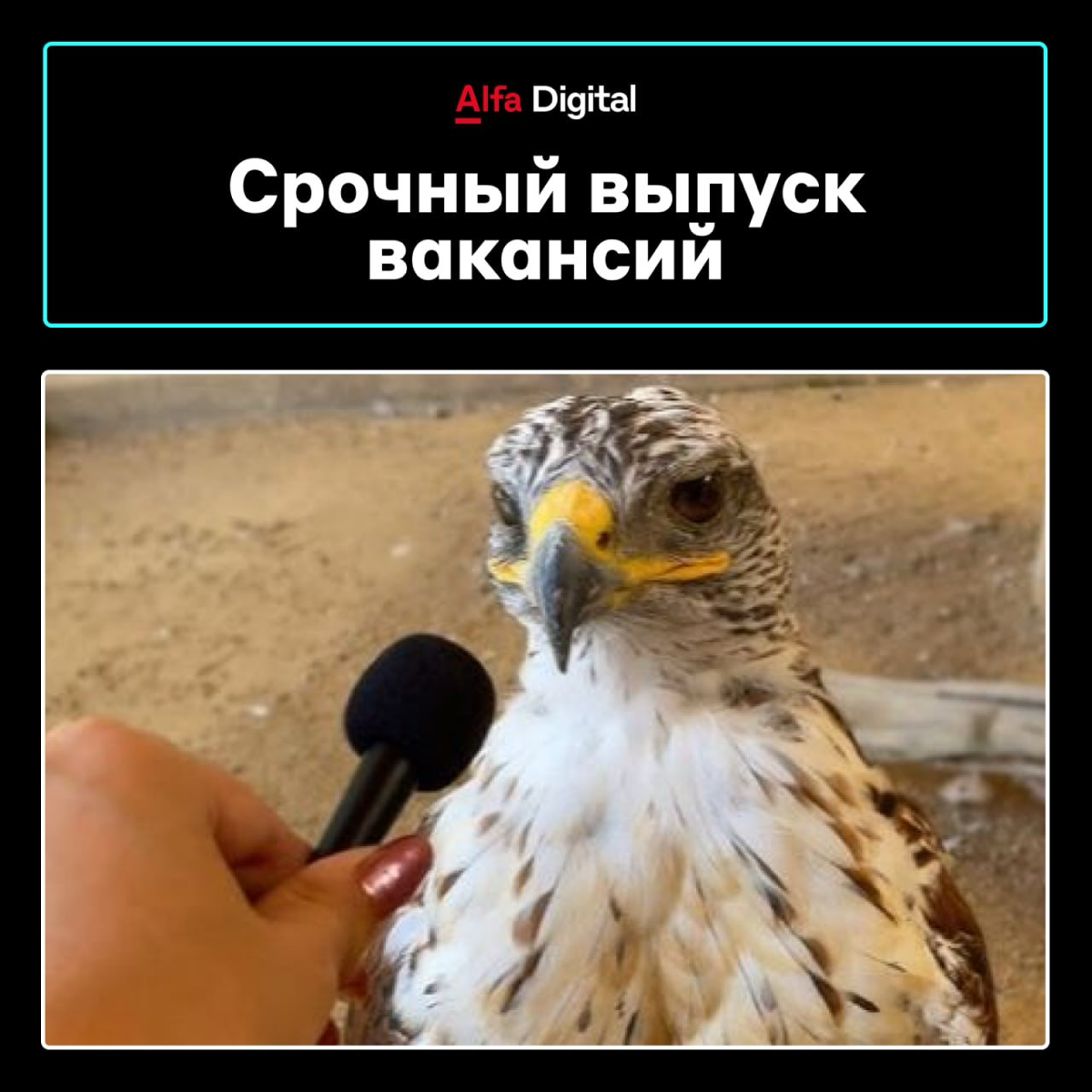 Вакансии в прямом эфире 📣
🔗 Системный аналитик — откликнуться
🔗 Java разработчик — откликнуться
🔗 DevSecOps — откликнуться
🔗 Главный эксперт платформы HPC — откликнуться
🔗 Pega-разработчик — откликнут... | Сетка — социальная сеть от hh.ru