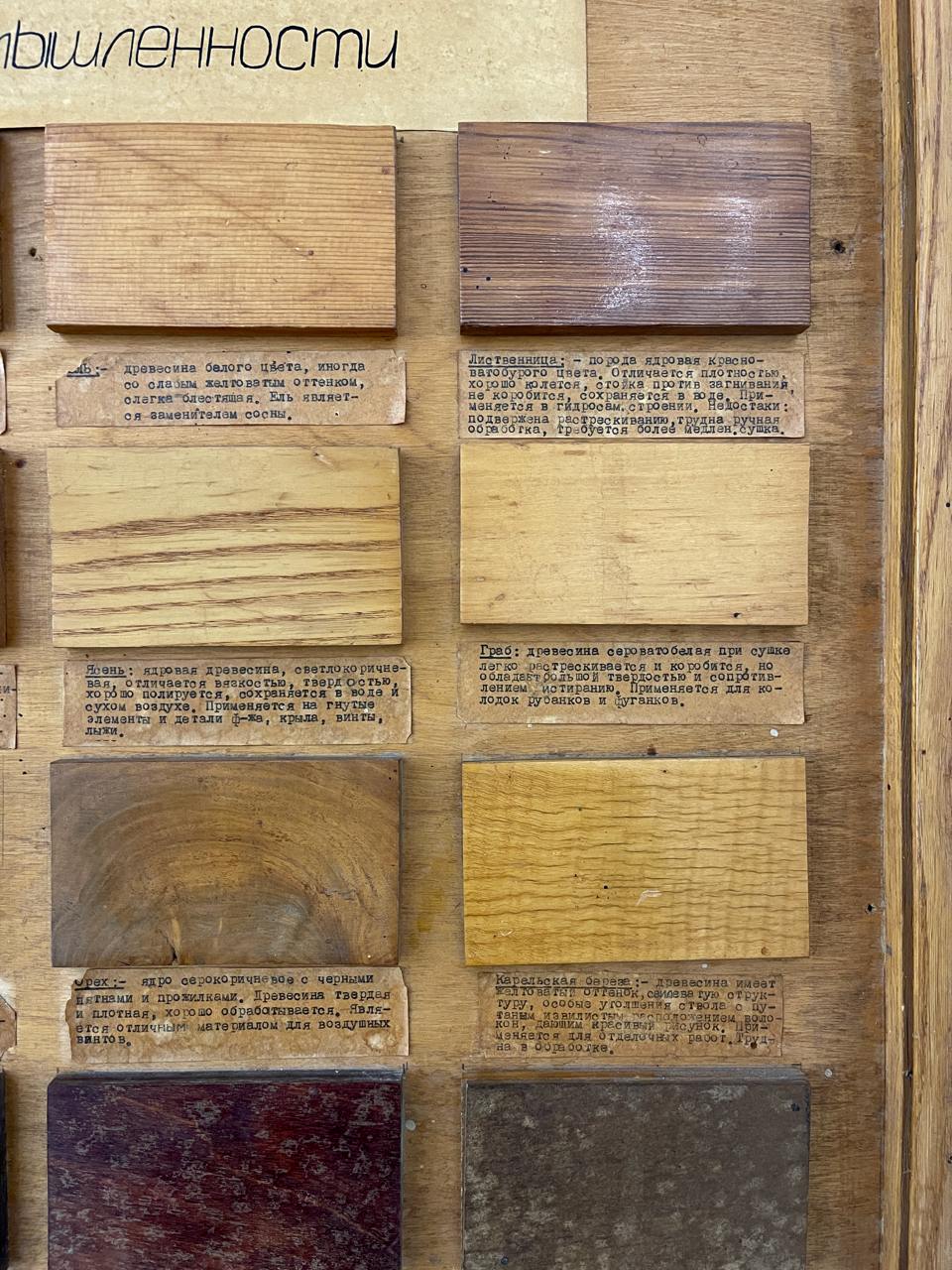 Были на выставке в Манеже. Поймал себя на мысли, что заставляю себя найти что-то примечательное | Сетка — социальная сеть от hh.ru