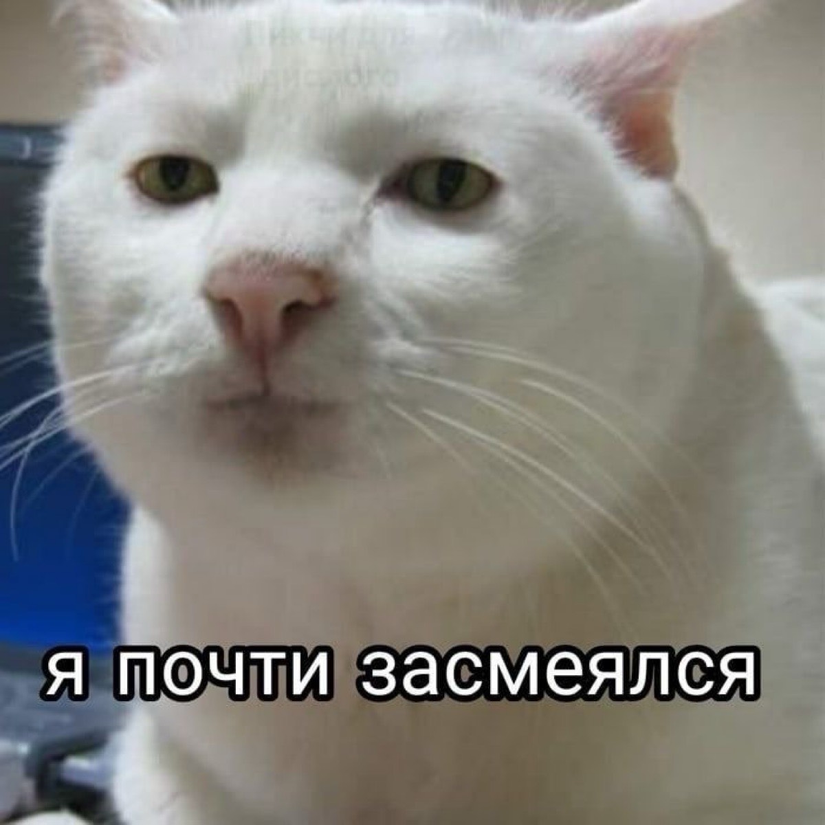 Виолетта Тошматова